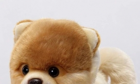 这类热卖玩具，会是下个爆品吗？